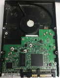 6V080E0,  Serial:V205TENG,  80GB 3.5,  PCB:302136100- REV A