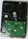 ST3160318AS PCB: 100535704 REV A SERIAL NUMBER: 6VY1FHNG PN 9SL13A-020 FW HP11 160GB