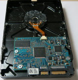 0F11010JPC39G0C05,  P/N:0F11010,  MLC:JPC39G,  Serial:HV142PXH,  3GB 3.5,  PCB :110 0A90233 01- REV A
