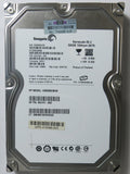 ST3500320NS PCB: 100475720 REV A SERIAL NUMBER: 9QM3D01M PN 9CA154-783 FW HPG1