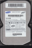 SV1203N REV A FW100-26 120GB 3.5