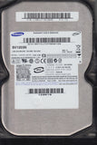 SAMSUNG SV1203N REV A FW100-26 120GB 3.5