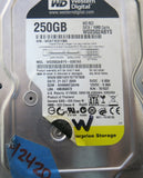 WD2502ABYS-02B7A0,  Serial:WCAT1E311305,  250GB 3.5,  PCB:2060-701494-002- REV A
