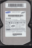 SAMSUNG SV1203N REV A FW100-26 120GB 3.5