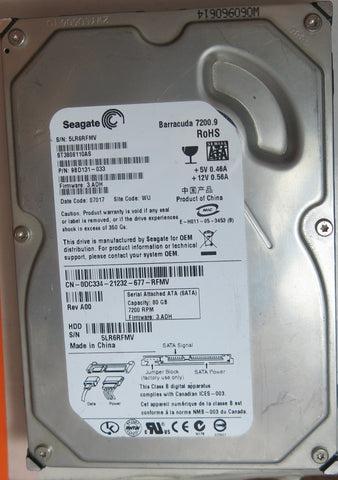 ST3808110AS,  P/N:9BD131-033,  FW:3.ADH,  Serial:5LR6RFMV,  80GB 3.5,  PCB:100387575- REV B