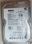 ST3500320NS,  SERIAL:9QMBYW4H,  500GB 3.5,     PCB:100475720