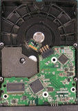 WD800JD-75MSA3, DCM DBBHNTJCA, 80GB 3.5