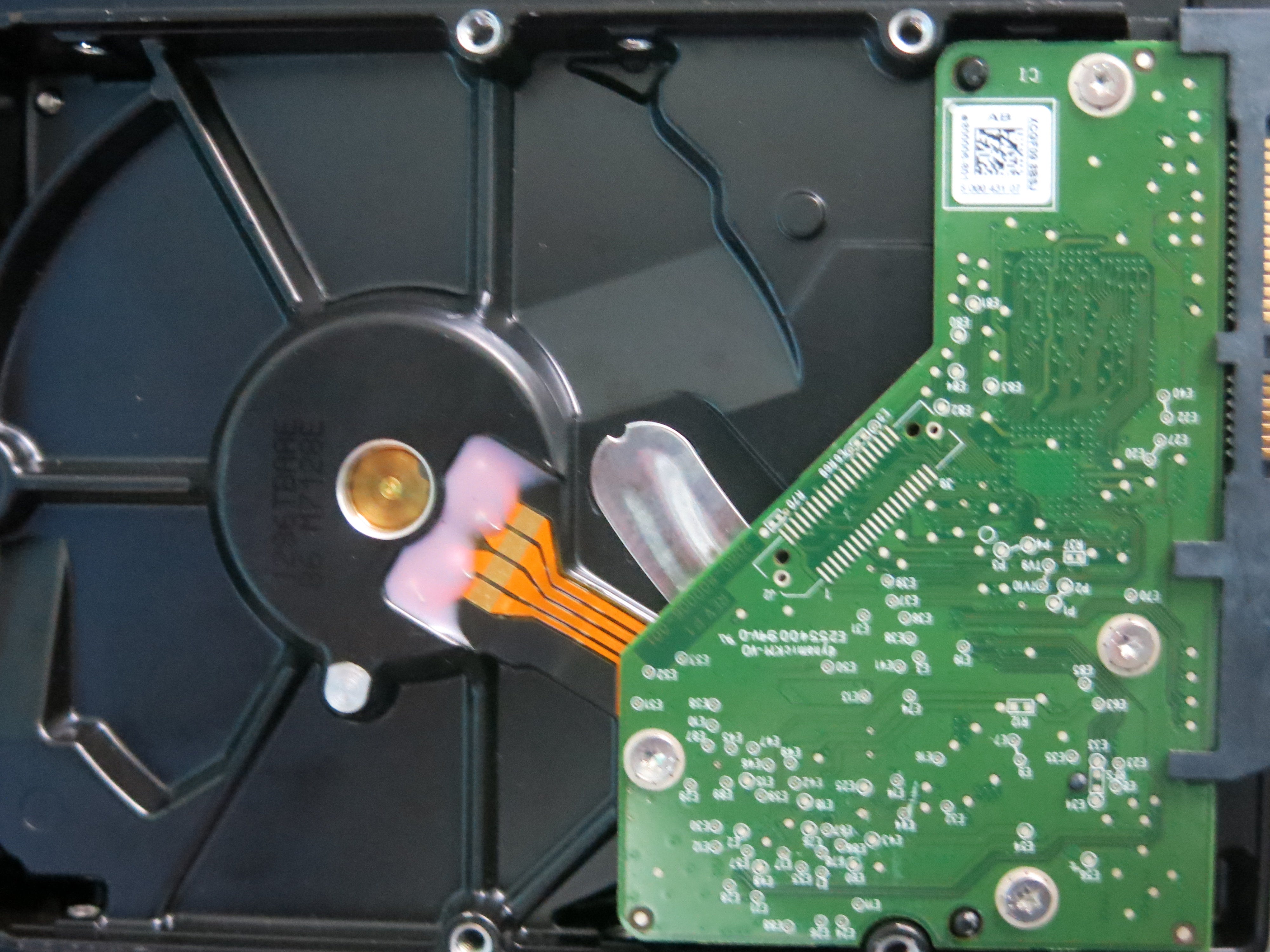 MODEL : WD10EURX-63UYY0 PCB : 2060-800006-001 REV P 1 SERIAL NUMBER : WCC4J4HY77SY