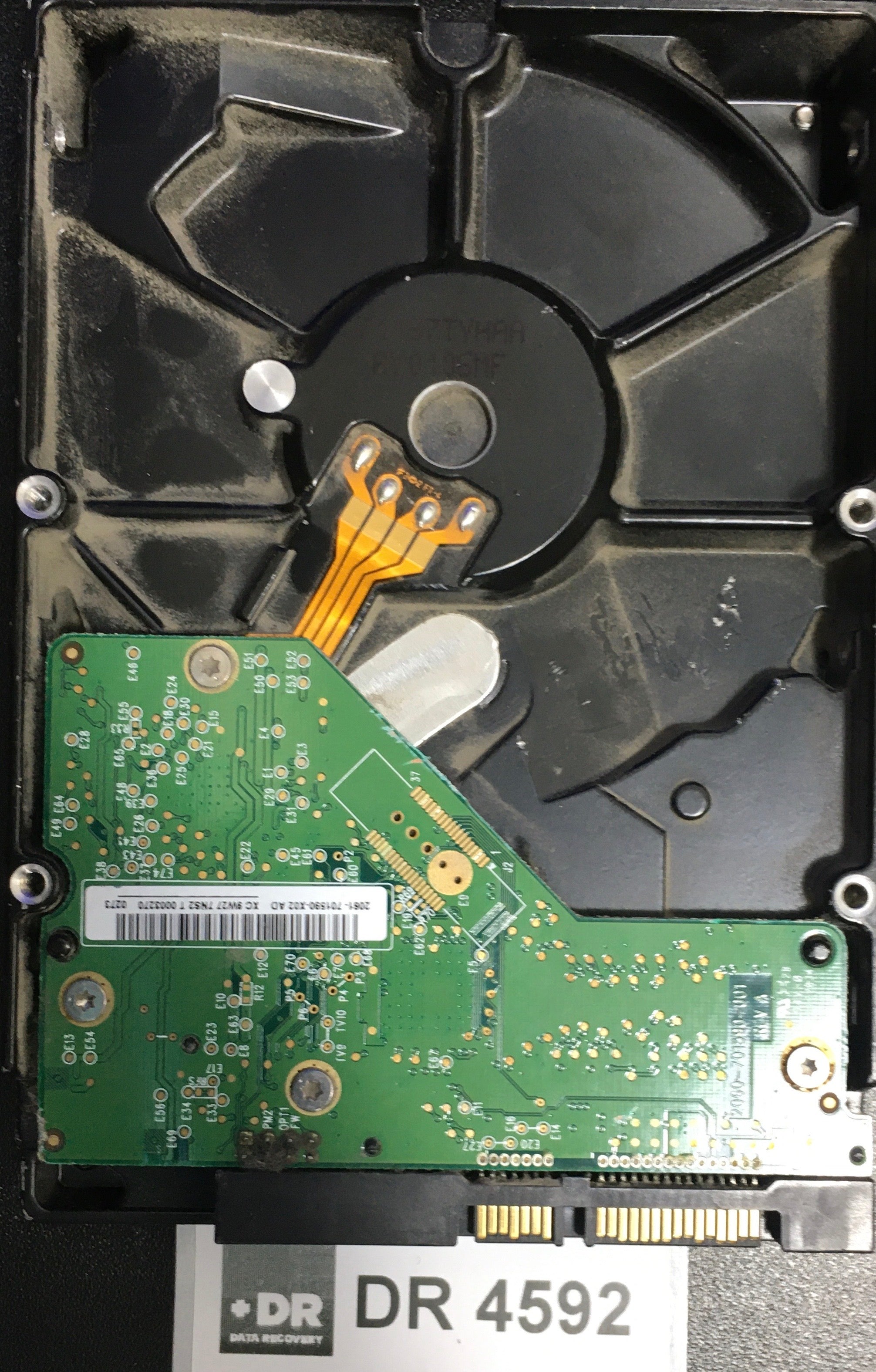 WD1600AAJS-75M0A01,  Serial: WCAV40474185,  160GB 3.5  PCB:2060-701590-001- REV A